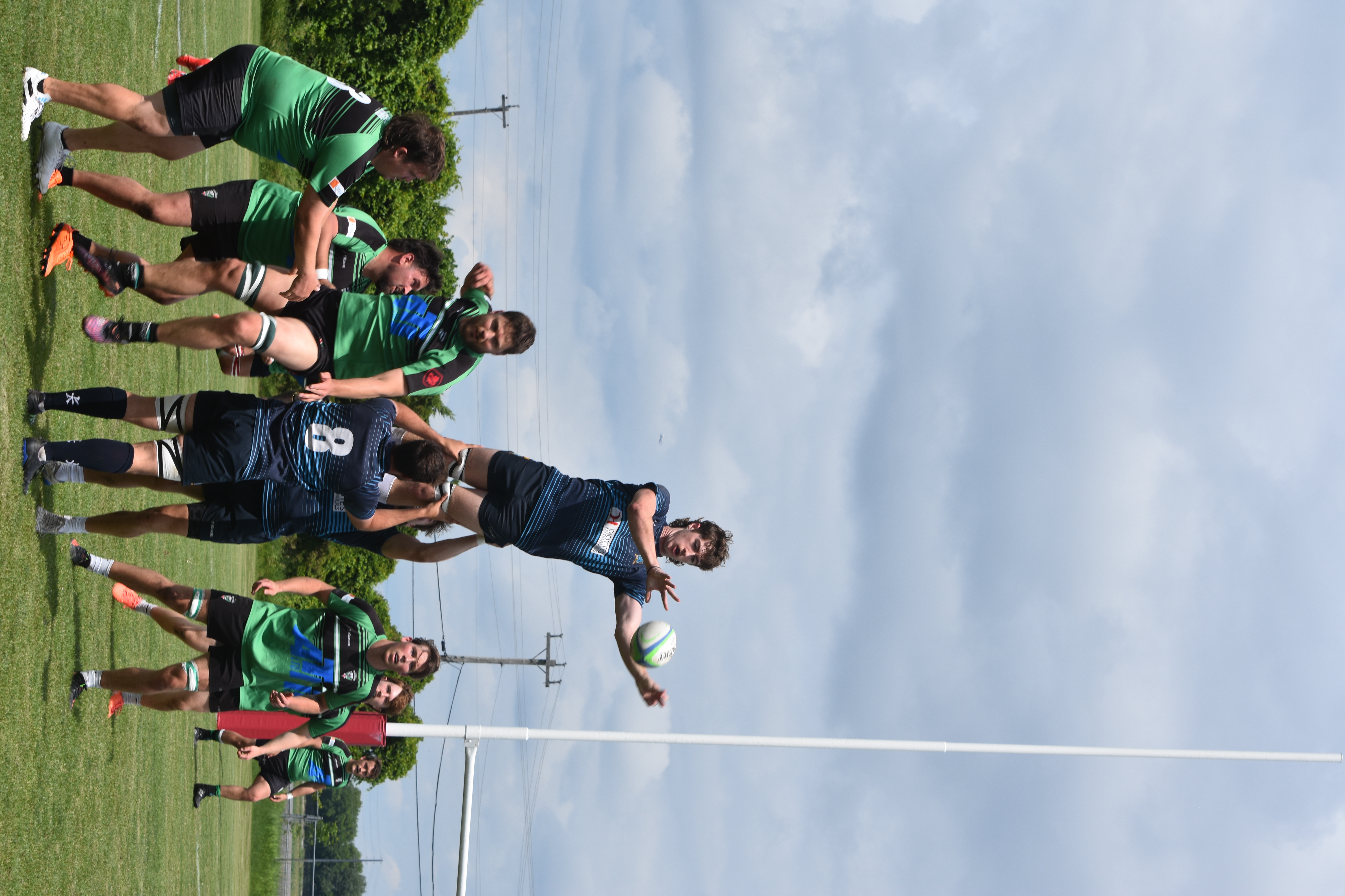 Blues Sr Men Marshall